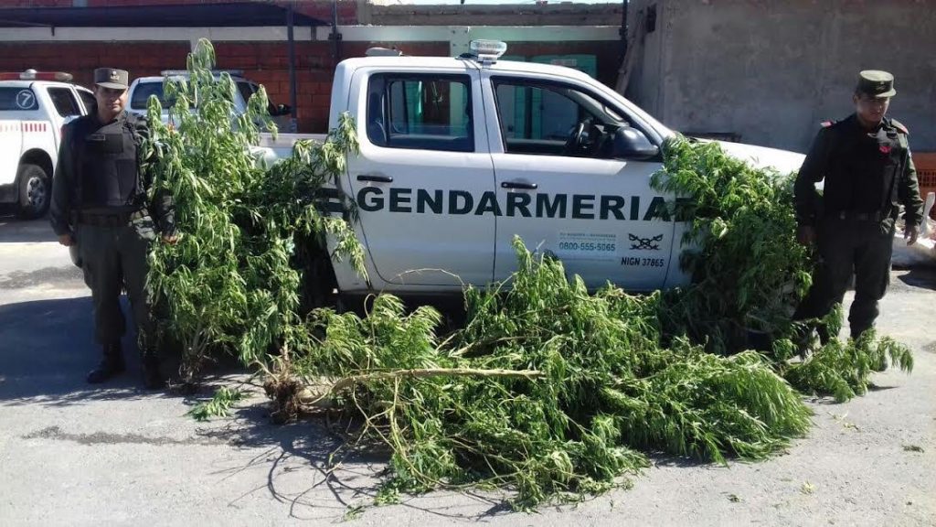 Operativos de Seguridad