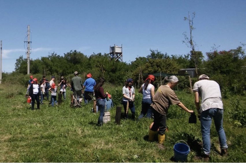 Se plantaron árboles nativos en Pilar