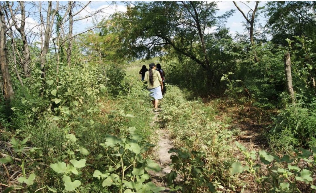 Día Mundial de la Vida Silvestre en la Reserva Natural de Pilar
