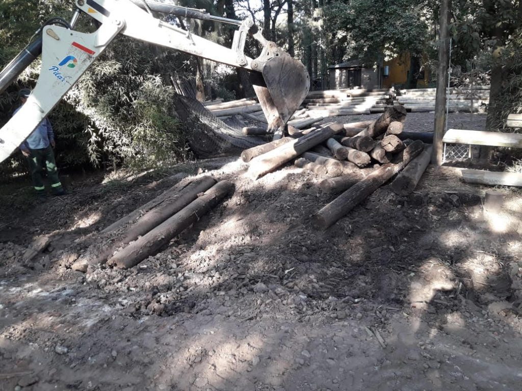 Importantes trabajos de mejoras y mantenimiento en La Lonja