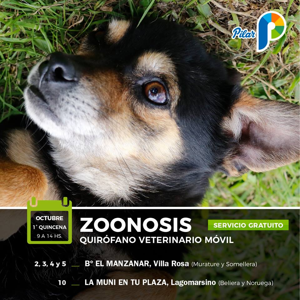 Cronograma del Quirófano Veterinario Móvil en octubre