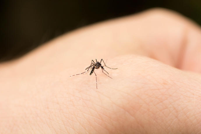Campaña contra el Dengue en Vicente López