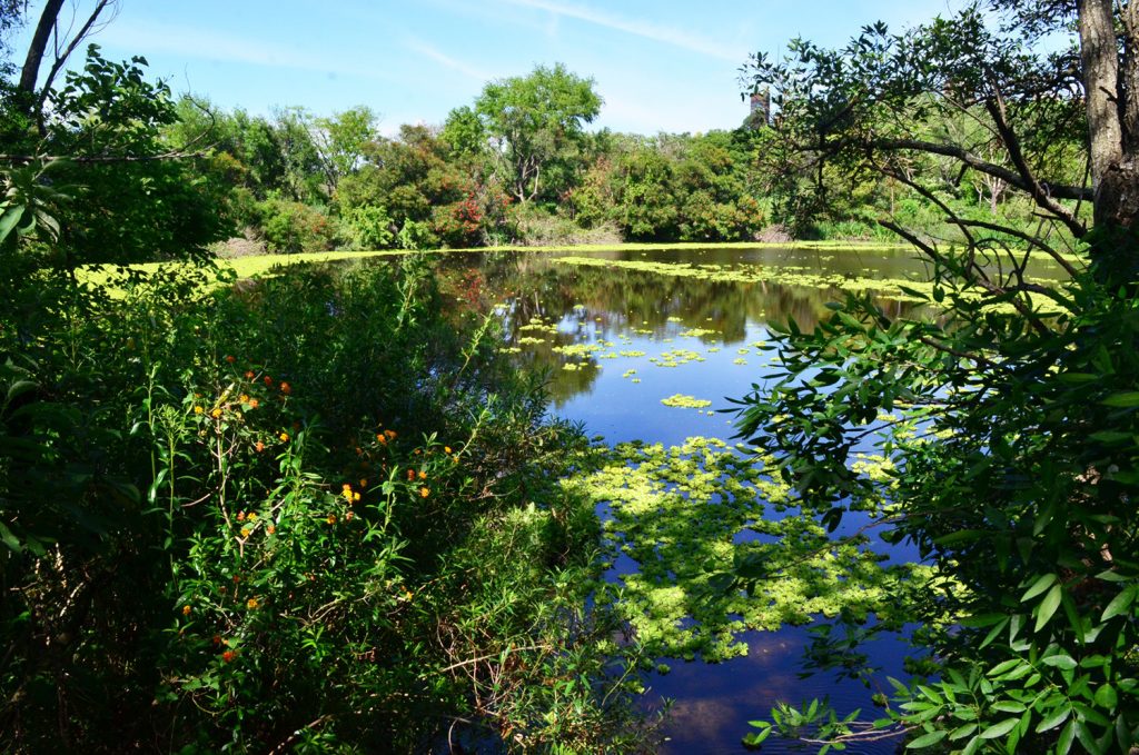 Actividades de verano en la Reserva Ecológica de Vicente López