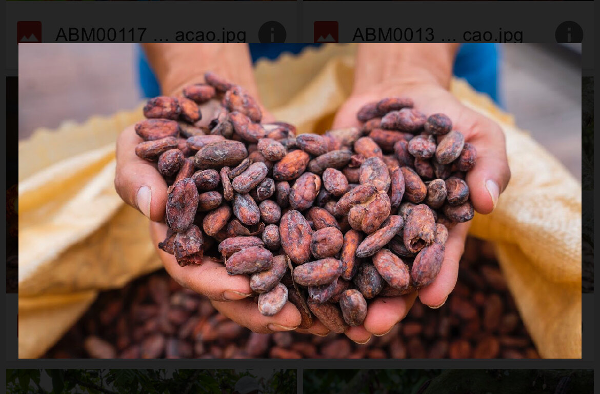 Este es el chocolate más valioso del mundo
