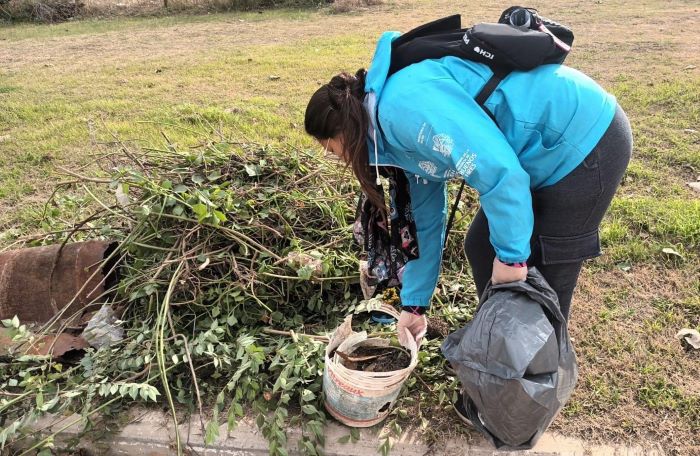 Dengue: la prevención empieza por casa instan a descacharrar tras las lluvias