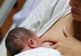 Últimas recomendaciones para el destete